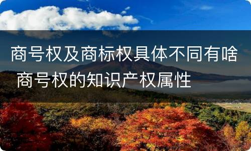 商号权及商标权具体不同有啥 商号权的知识产权属性