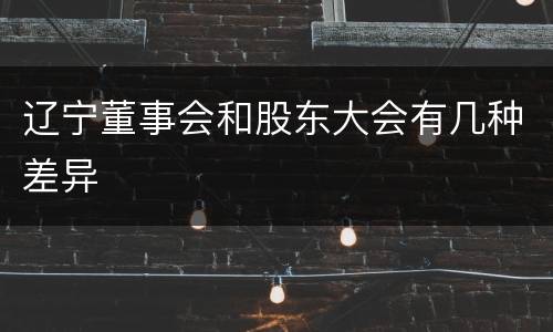 辽宁董事会和股东大会有几种差异