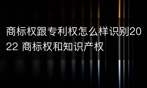 商标权跟专利权怎么样识别2022 商标权和知识产权