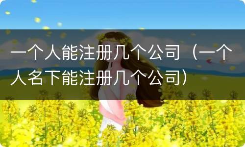 一个人能注册几个公司（一个人名下能注册几个公司）