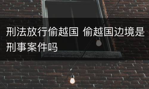 刑法放行偷越国 偷越国边境是刑事案件吗