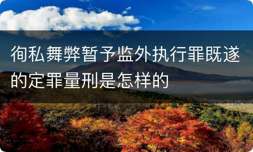 徇私舞弊暂予监外执行罪既遂的定罪量刑是怎样的