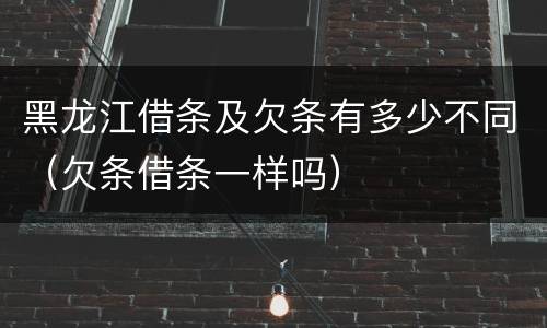 黑龙江借条及欠条有多少不同（欠条借条一样吗）