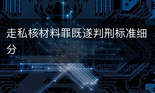 走私核材料罪既遂判刑标准细分