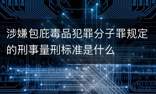 涉嫌包庇毒品犯罪分子罪规定的刑事量刑标准是什么