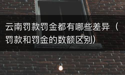 云南罚款罚金都有哪些差异（罚款和罚金的数额区别）