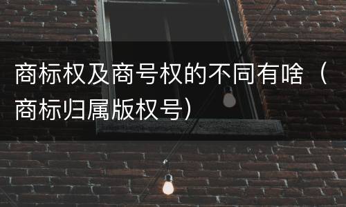 商标权及商号权的不同有啥（商标归属版权号）