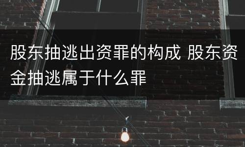 股东抽逃出资罪的构成 股东资金抽逃属于什么罪