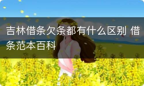 吉林借条欠条都有什么区别 借条范本百科