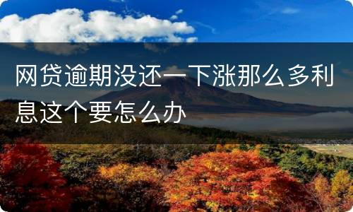 网贷逾期没还一下涨那么多利息这个要怎么办