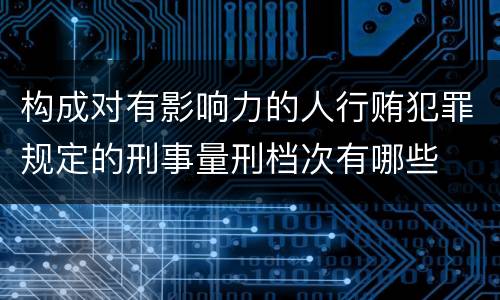 构成对有影响力的人行贿犯罪规定的刑事量刑档次有哪些