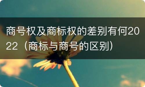 商号权及商标权的差别有何2022（商标与商号的区别）