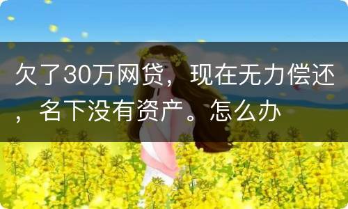 欠了30万网贷，现在无力偿还，名下没有资产。怎么办