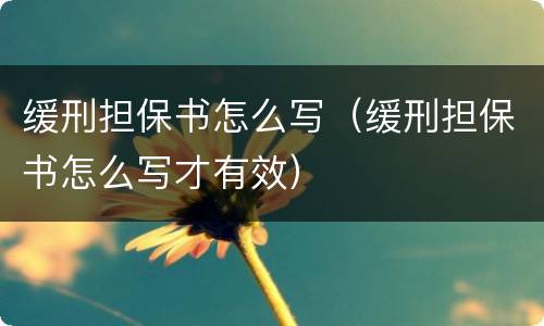 缓刑担保书怎么写（缓刑担保书怎么写才有效）