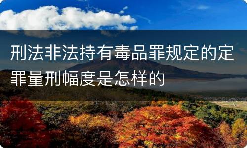 刑法非法持有毒品罪规定的定罪量刑幅度是怎样的