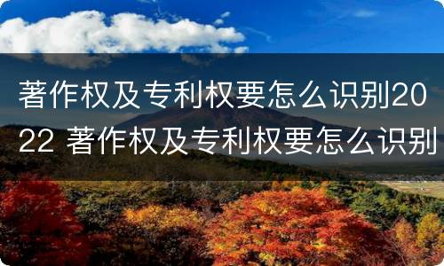 著作权及专利权要怎么识别2022 著作权及专利权要怎么识别2022年年度