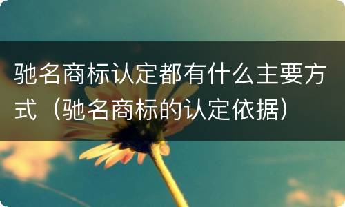 驰名商标认定都有什么主要方式（驰名商标的认定依据）