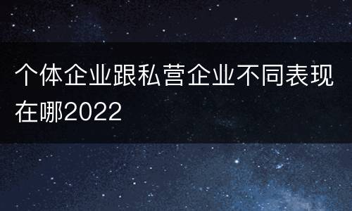 个体企业跟私营企业不同表现在哪2022