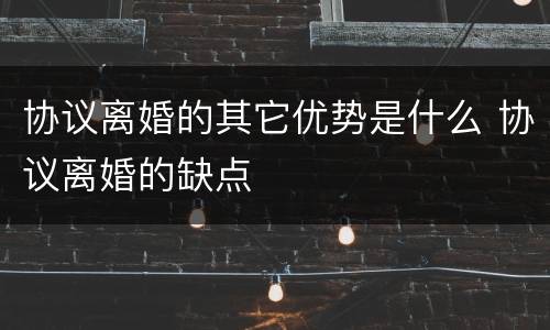 协议离婚的其它优势是什么 协议离婚的缺点