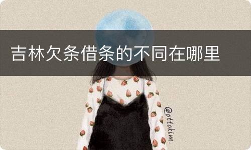 吉林欠条借条的不同在哪里