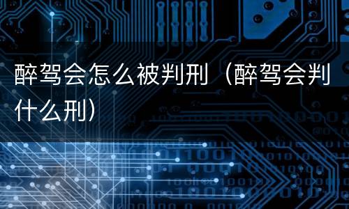 醉驾会怎么被判刑（醉驾会判什么刑）