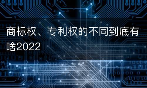 商标权、专利权的不同到底有啥2022