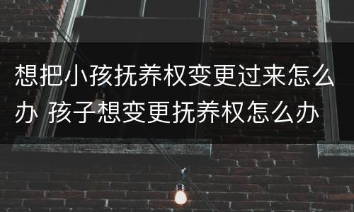 想把小孩抚养权变更过来怎么办 孩子想变更抚养权怎么办