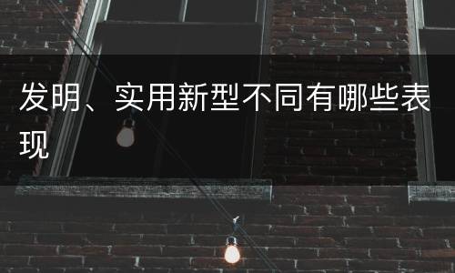 发明、实用新型不同有哪些表现