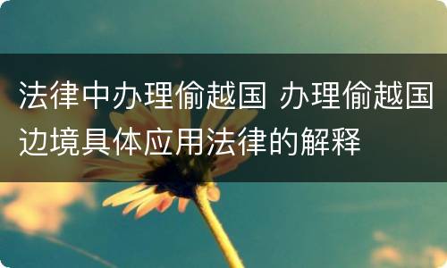 法律中办理偷越国 办理偷越国边境具体应用法律的解释