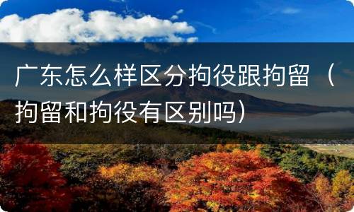 广东怎么样区分拘役跟拘留（拘留和拘役有区别吗）