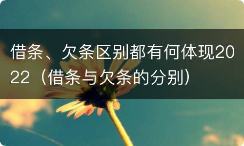 借条、欠条区别都有何体现2022（借条与欠条的分别）
