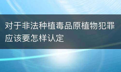 对于非法种植毒品原植物犯罪应该要怎样认定