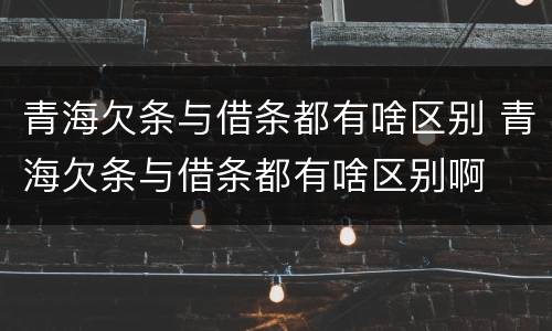 青海欠条与借条都有啥区别 青海欠条与借条都有啥区别啊