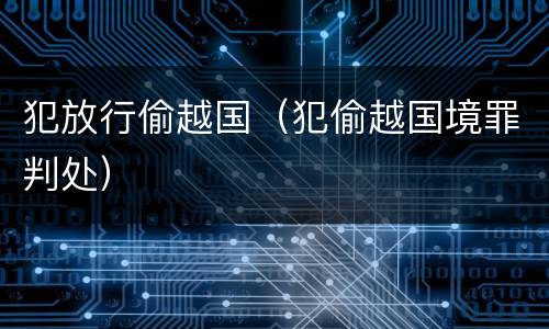 犯放行偷越国（犯偷越国境罪判处）