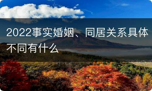 2022事实婚姻、同居关系具体不同有什么