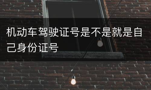 机动车驾驶证号是不是就是自己身份证号
