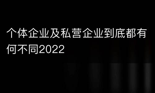 个体企业及私营企业到底都有何不同2022