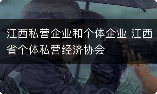 江西私营企业和个体企业 江西省个体私营经济协会