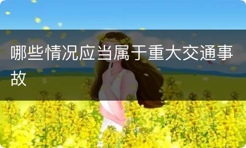 哪些情况应当属于重大交通事故