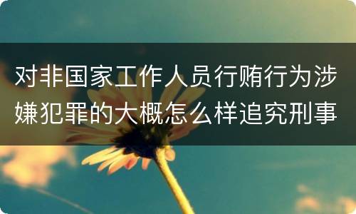 对非国家工作人员行贿行为涉嫌犯罪的大概怎么样追究刑事责任