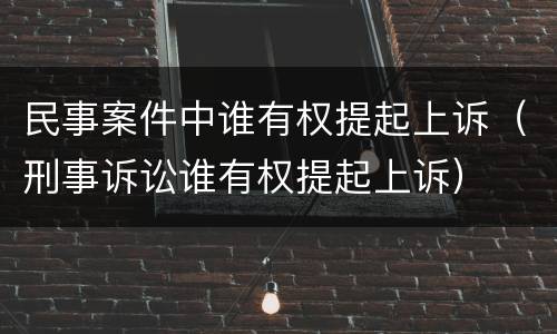 民事案件中谁有权提起上诉（刑事诉讼谁有权提起上诉）