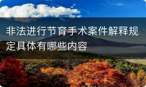 非法进行节育手术案件解释规定具体有哪些内容