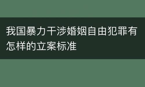 我国暴力干涉婚姻自由犯罪有怎样的立案标准