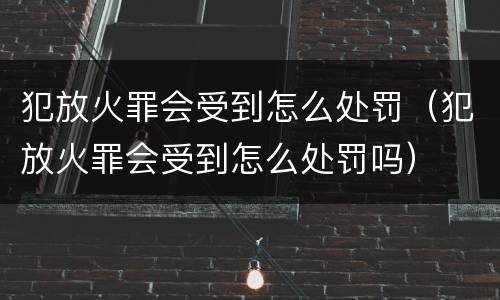 犯放火罪会受到怎么处罚（犯放火罪会受到怎么处罚吗）