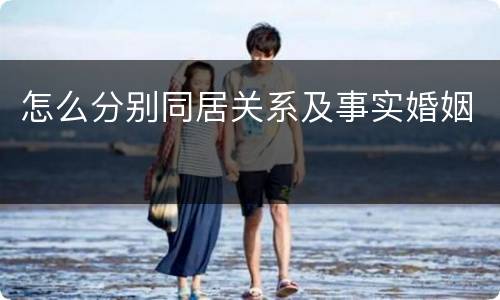 怎么分别同居关系及事实婚姻
