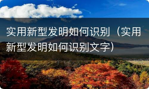 实用新型发明如何识别（实用新型发明如何识别文字）