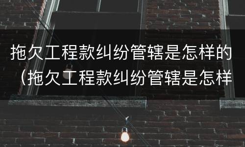 拖欠工程款纠纷管辖是怎样的（拖欠工程款纠纷管辖是怎样的法律规定）