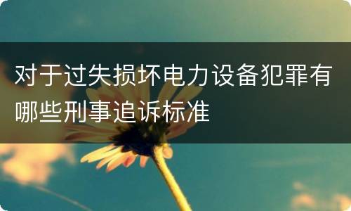 对于过失损坏电力设备犯罪有哪些刑事追诉标准