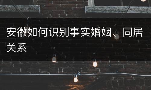 安徽如何识别事实婚姻、同居关系