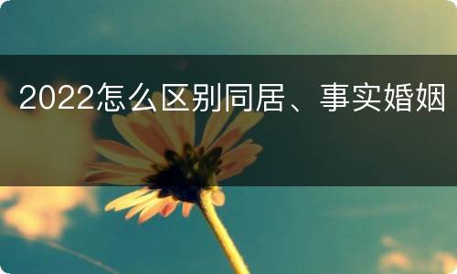 2022怎么区别同居、事实婚姻